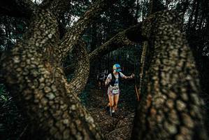 BIB: 
                            <button type="button" onclick="openModal(25692972)" class="btn btn-primary btn-sm float-right btn-popup" data-toggle="modal" data-target=".modal-high-quality">
                        <i class="fas fa-shopping-cart"></i> Add to Cart
                    </button>
                                            <button type="button" onclick="isThisMe(25692972, true)" class="btn btn-success btn-sm float-right btn-popup btn-isme hidden" data-toggle="tooltip" data-placement="bottom" title="นี่คือรูปของคุณใช่ไหม คลิกที่นี่เพื่อเอาเข้าอัลบั้ม">
                        <i class="fas fa-plus"></i> Add to album
                    </button>
                    <button type="button" onclick="isThisMe(25692972, false)" class="btn btn-warning btn-sm float-right btn-popup btn-isnotme hidden">
                        <i class="fas fa-ban"></i> Remove from album
                    </button>